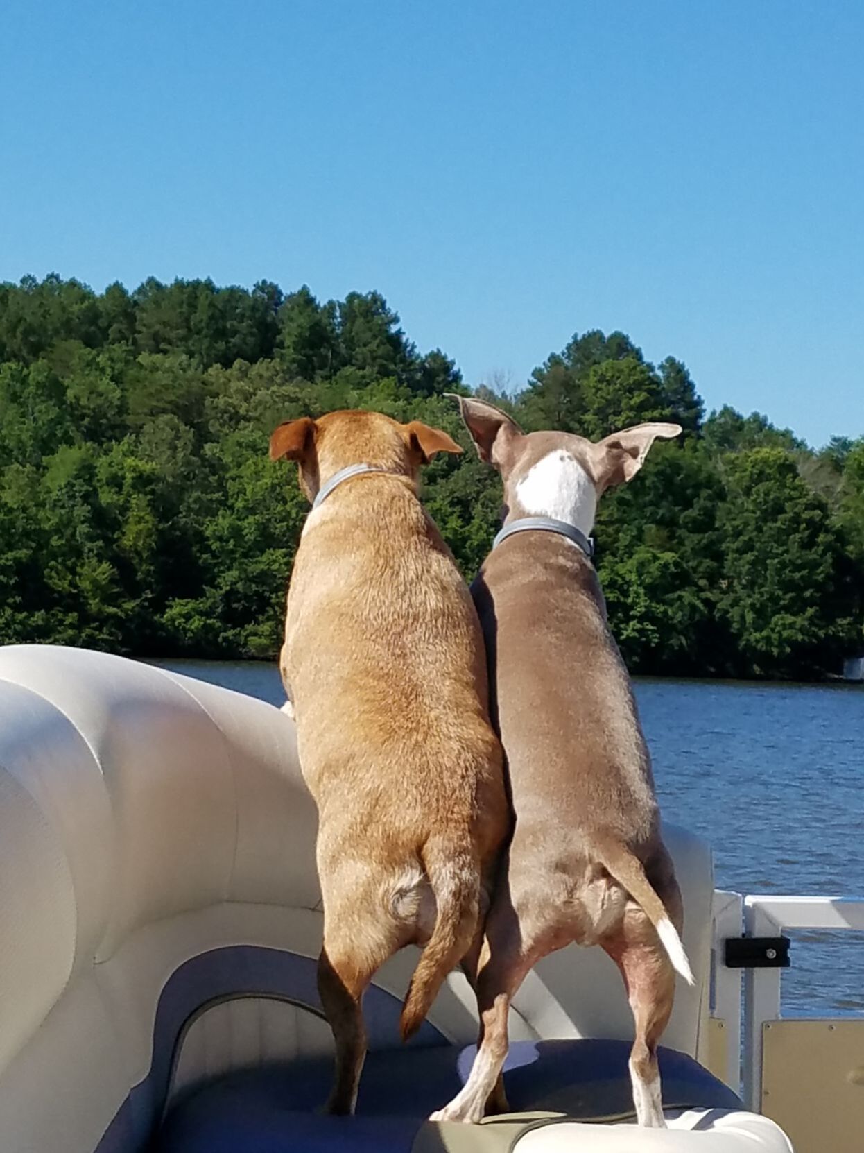 Lake ride